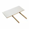 C35 iläggsskiva 82x37 cm light grey-oak nature lacquered