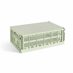Colour Crate lock large Mint