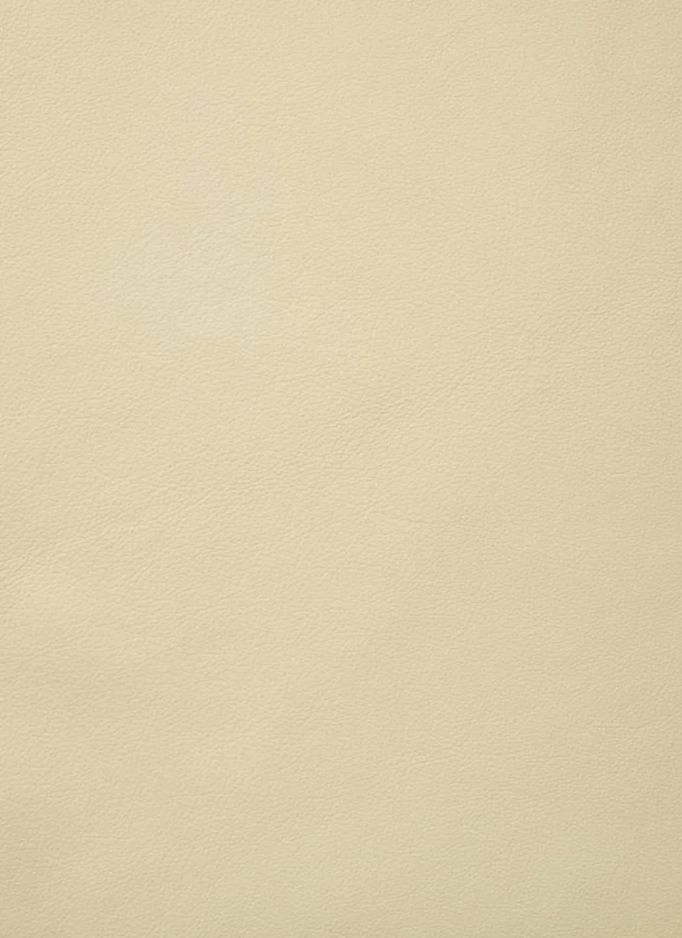 F300 loungestol Pastel green-Smooth läder Cream