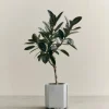 Funki kruka M 40 cm Brushed Aluminium