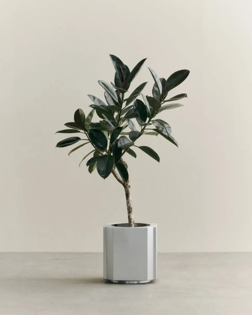 Funki kruka M 40 cm Brushed Aluminium