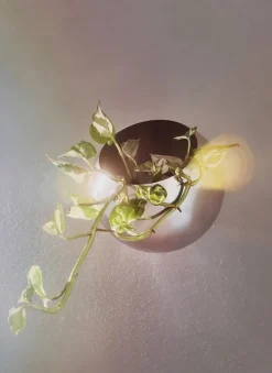 Globe kruka vägg Ø17 cm Silver