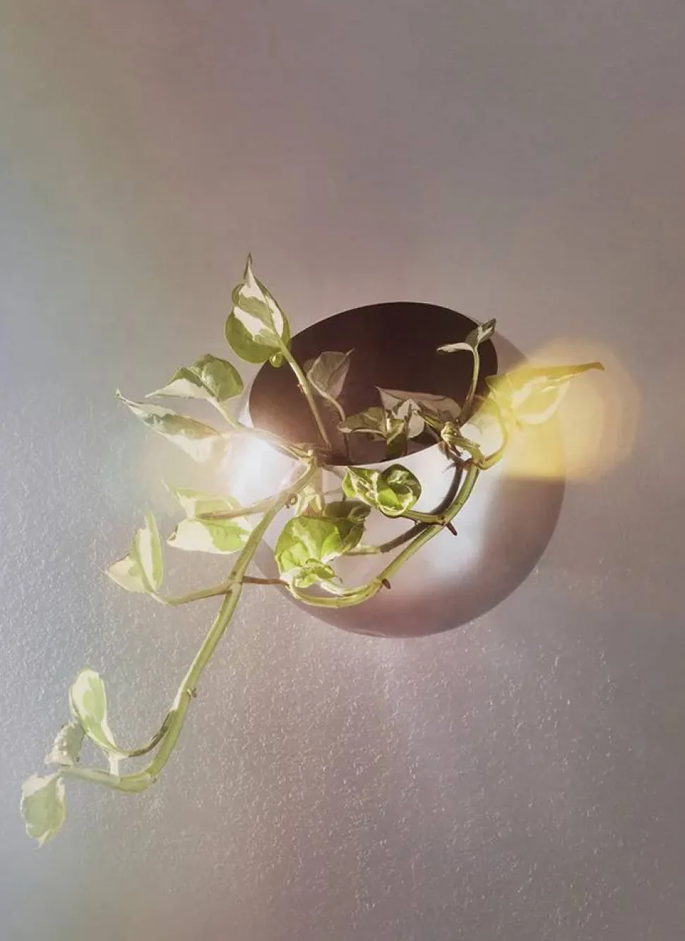 Globe kruka vägg Ø17 cm Silver