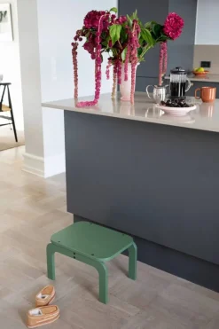 Kiddo Step Seat pall Green
