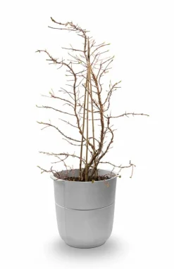 Linea kruka nr 1 hög Aluminium