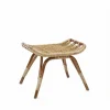 Monet fotpall antik