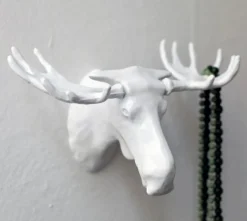 Moose krok vit