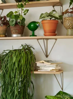 Pythagoras Shelf hyllplan ek