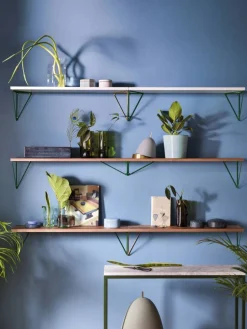 Pythagoras Shelf hyllplan valnöt