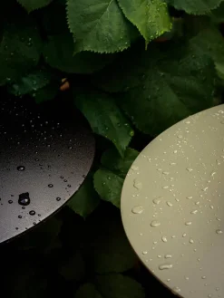 Ray bordslampa portabel Dusty Green