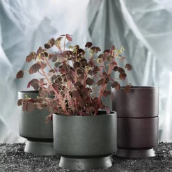 Ro blomkruka Ø15 cm Mörkgrön