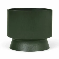 Ro blomkruka Ø15 cm Mörkgrön