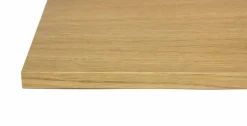 S10 Signature hylla 27x38 cm Oak