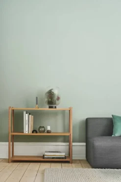 Sceene bookcase A Ljus ek