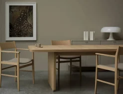 Siza karmstol Vitpigmenterad ek-lin sits